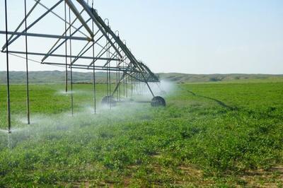 適合我國發(fā)展的幾種噴灌設(shè)備有哪些?